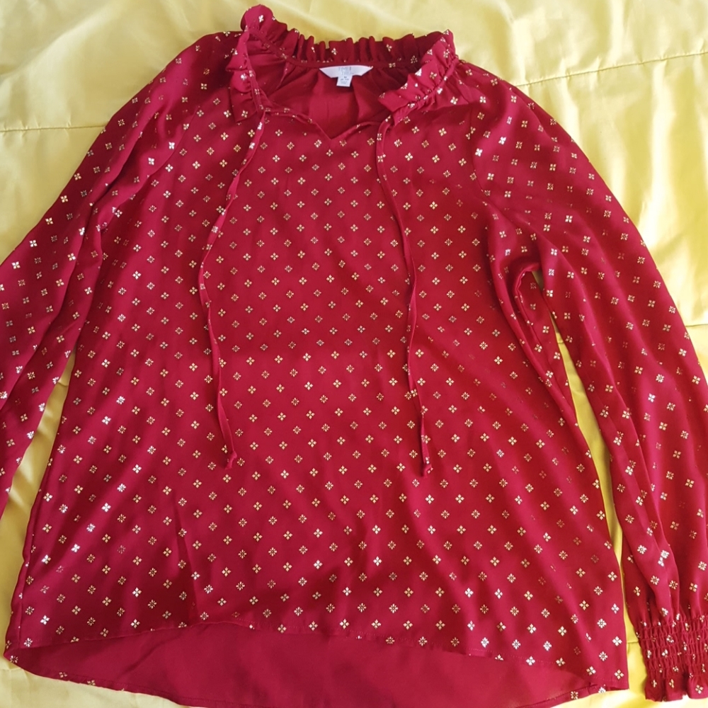 Red and gold blouse